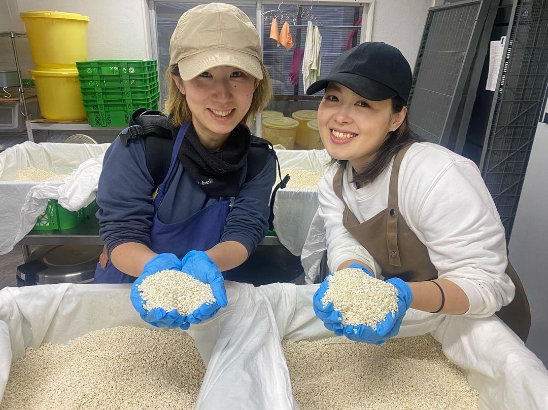 田んぼの様子