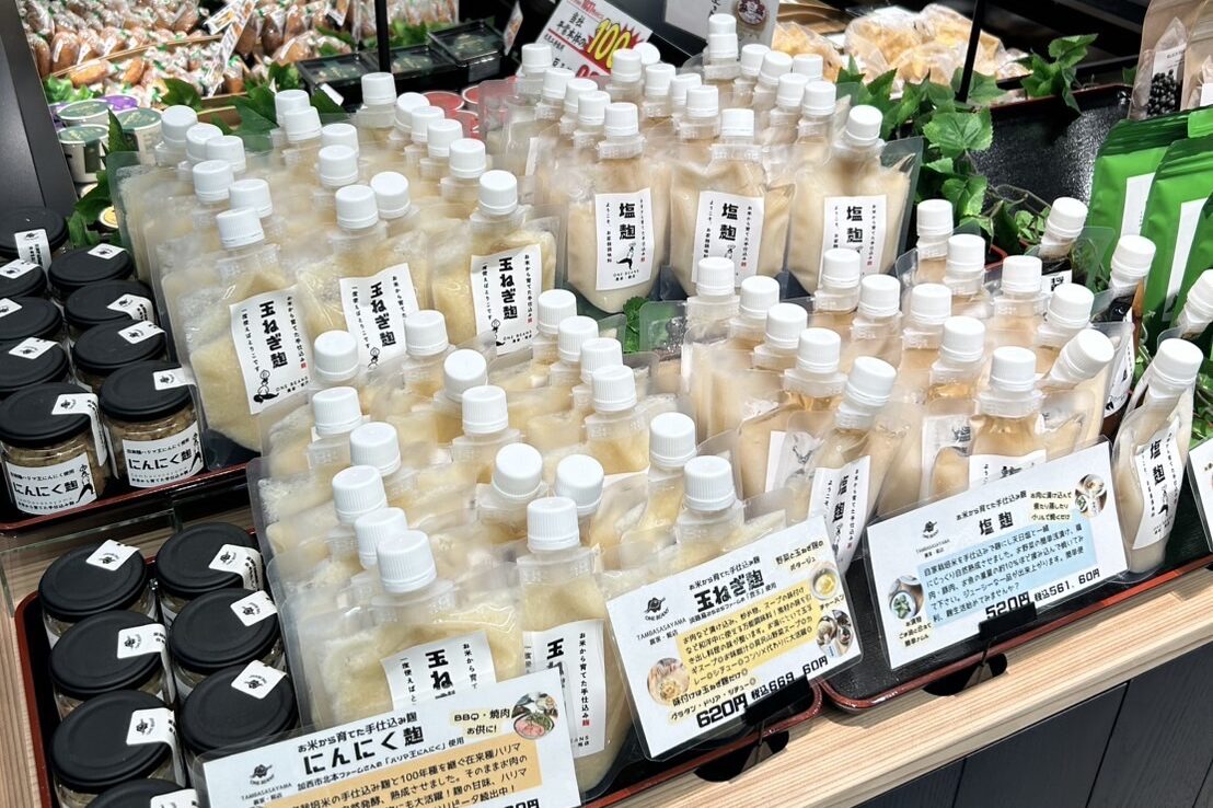 田んぼの様子