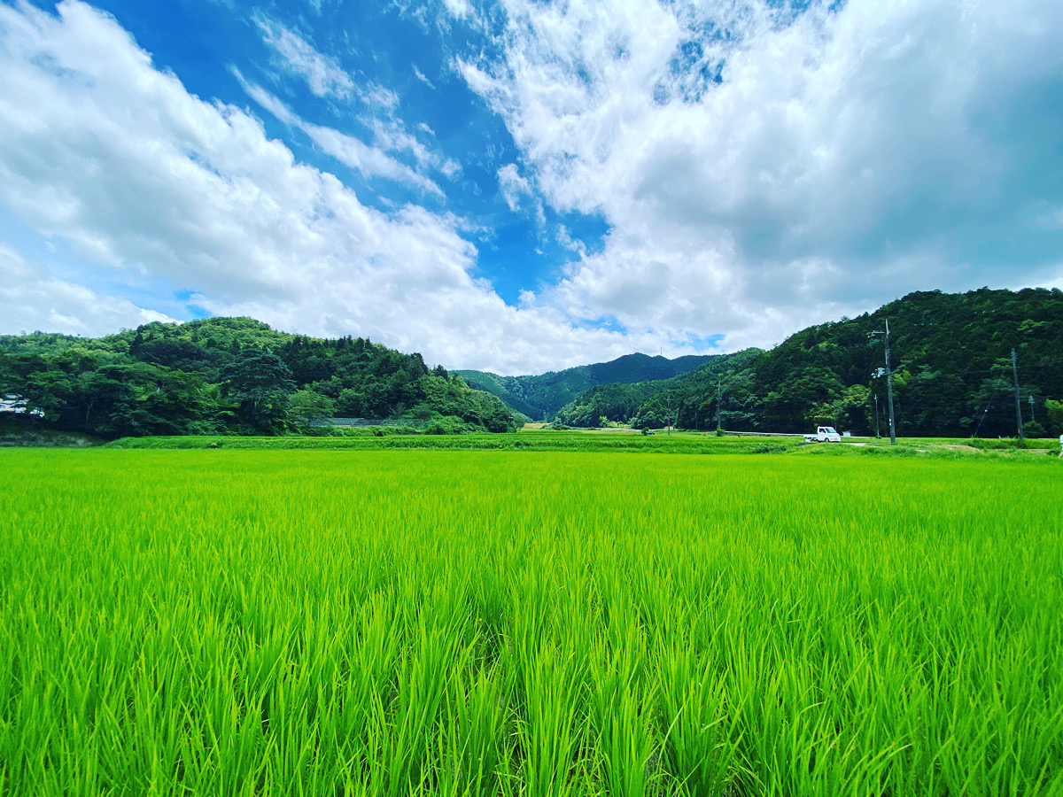FARM 農作業所