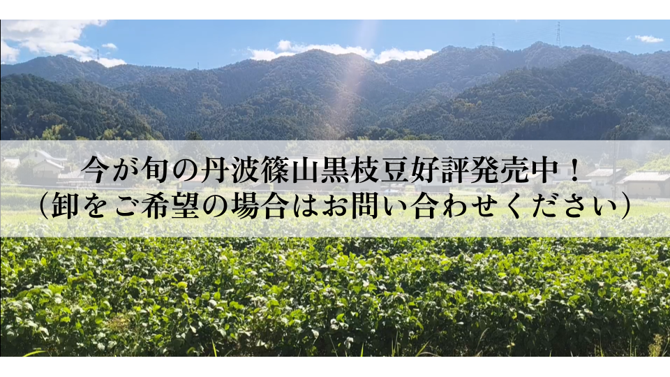 今が旬の丹波篠山黒枝豆好評発売中！
（卸をご希望の場合はお問い合わせください）